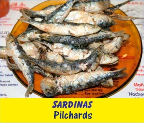 sardinas barplaya